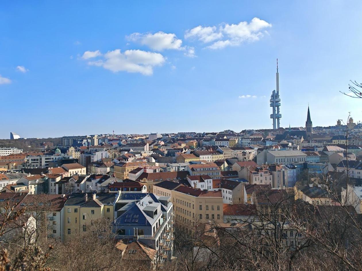 Apartament Flat In Zizkov -102- *